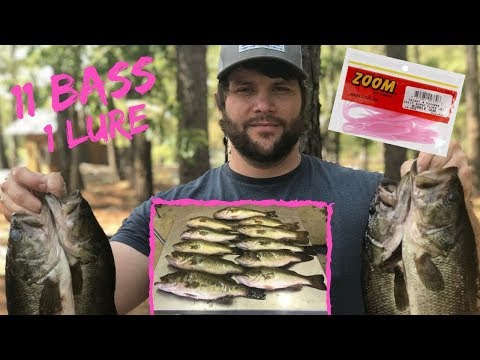 Non-Stop Bass Action (Public River!)