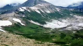 Jessica Harp - Someone else's life