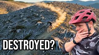 NATURAL SELECTION TRAILS at ONE PLANET ADVENTURE in Llandegla