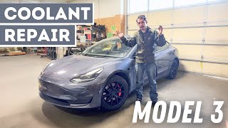 Coolant Leak! Tesla Model 3 Coolant Pumps And Damaged Hose Replacement