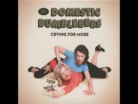 The Domestic Bumblebees - House Rockin' Boogie
