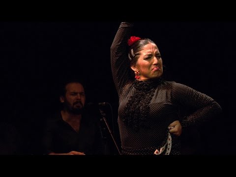 CASA PATAS, FLAMENCO EN VIVO 235 - SARAY GARCIA
