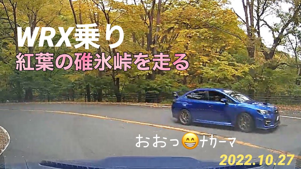 WRX乗り、紅葉の碓氷峠を走る