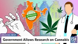 Government Allows Research on Cannabis
