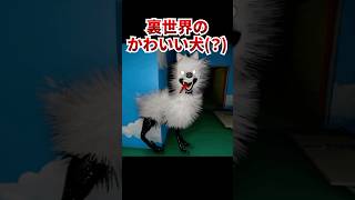 裏世界のかわいすぎる犬(?)と一緒に遊んだよ！[the classroom]#shorts