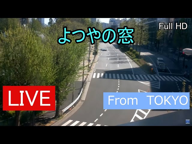 四ツ谷 外堀通り