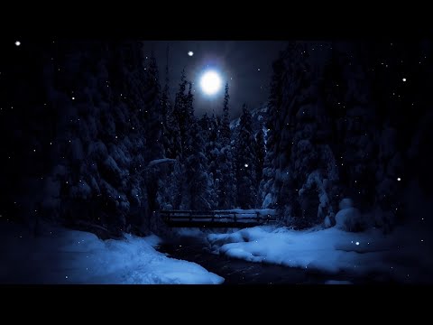 Owls hooting and a gentle stream flowing in the night