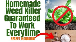 Natural Weed Killer That Works Better Than Round Up || DIY That Saves Money And Works In 24 Hours