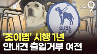 짐승인데…'조이법' 1년 됐지만 안내견 출입 거부 여전 [뉴스9]