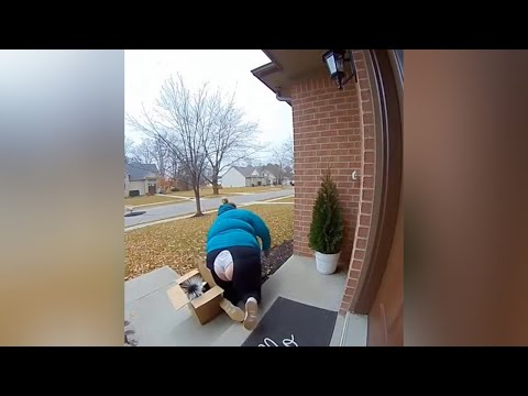 ULTIMATE PORCH PIRATES GET INSTANT KARMA BEST VIDEO COMPILATION 