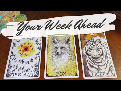 Your Detailed Week Ahead 🔮 What Will Happen? Next 7 days pick a card 🐜🦊🐯