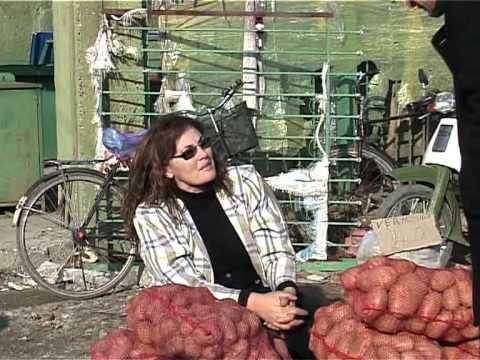 Anton Krosaj & Drane Xhai - Humor