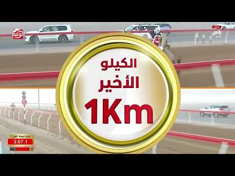 ش 1 (الفايضة) لـ نايل راشد بن سيف النايلي الشامسي 4:34:15 ، مهرجان العين 2026/07/06 حقايق الروضة