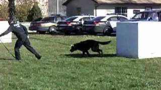 preview picture of video 'Canton Police K9s'