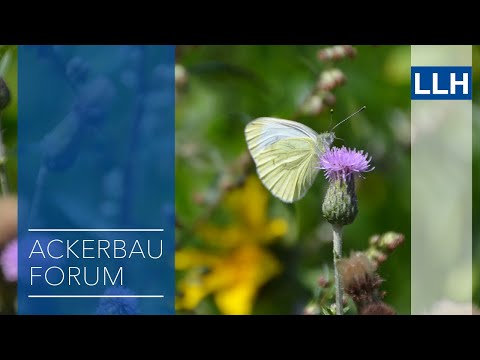 Übersicht über die GLÖZ-Standards der neuen GAP 2023 – Welche Anpassungen ergeben sich daraus?