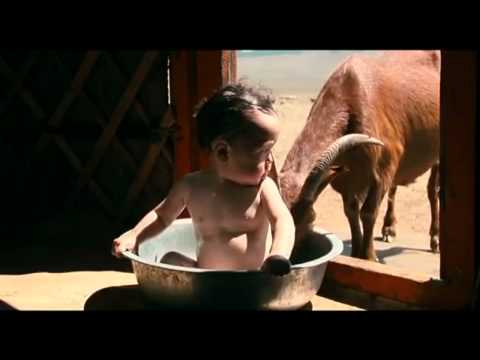 Trailer-Vorschau: Babys