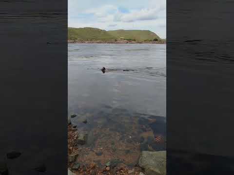 Rio São Francisco, Canindé de São Francisco, Sergipe 