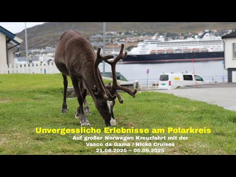 Vasco da Gama Nicko Cruises Kreuzfahrt Norwegen Nordkapp