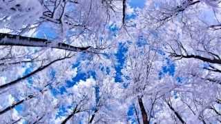 Brett Fuentes - Fin (Live)