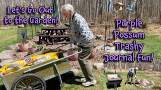 WINDY DAY in the SOGGY BOTTOM GARDEN! Potting up Lavender Seeds! Purple Possum TRASHY JOURNAL PAGE!