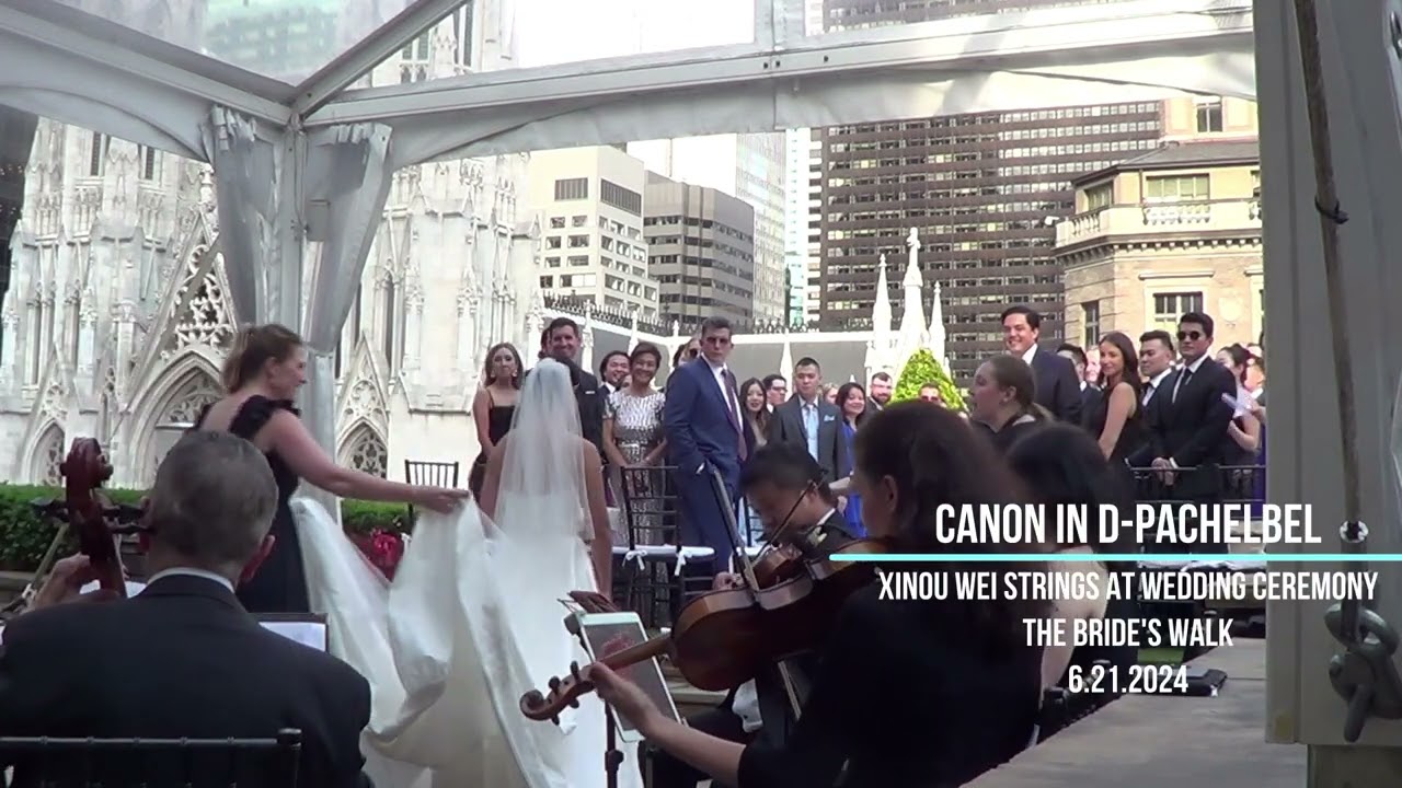 Promotional video thumbnail 13 for Xinou Wei Strings