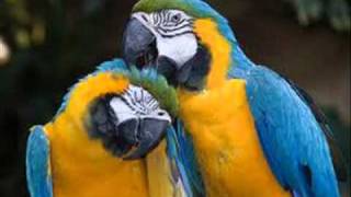 You're mine, you're mine - James Brown