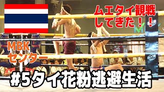 タイ花粉逃避生活#5 ムエタイを見に行こう！
