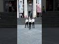 Stray Kids Scars DB StrayKidsJapanOfficial Straykids Scars Kpop Dance Challenge Fyp