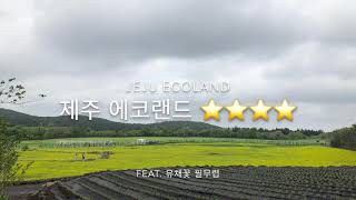 preview picture of video '제주 에코랜드 유채꽃밭 Jeju Ecoland, cozy, green, peaceful, nature, yellow, vivid colors'
