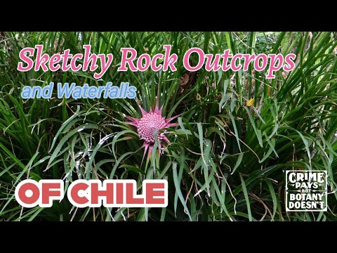 Sketchy Rock Outcroppings of Chile