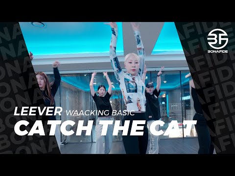 Cherry Laine -- Catch The Cat / Leever Waacking Basic