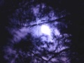 Chalice - The Amber Twilight