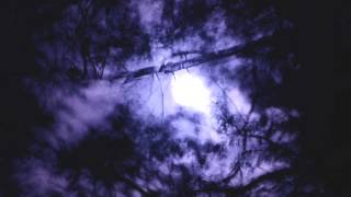 Chalice - The Amber Twilight