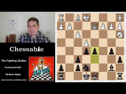 The Fighting Sicilian - The Sveshnikov Positional 9.Nd5