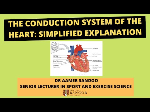 Simple Guide to The Conduction System of the Heart