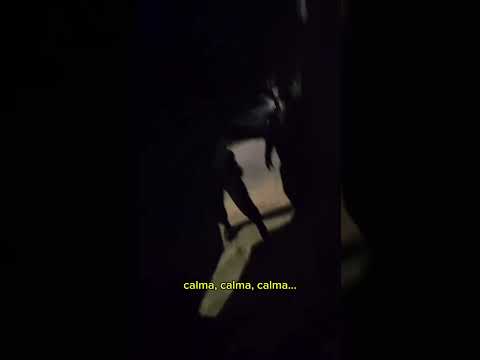 Violência doméstica mobiliza BOPE e termina com suspeito neutralizado em Pedro Leopoldo