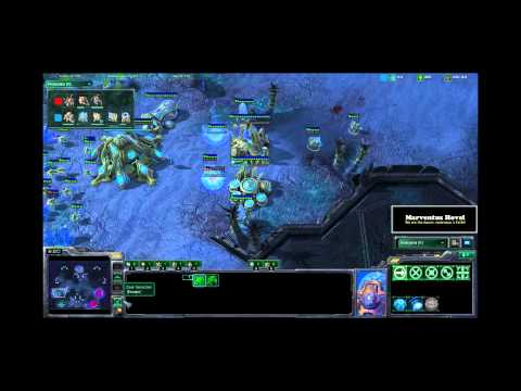 Starcraft 2 - ZvP - Pro Casts  - ATNSocke (P)  vs Lalush (Z)