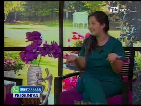 Embarazo en las mascotas 