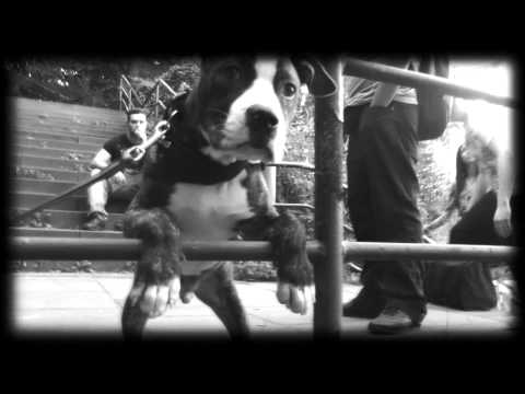 Andrucha & Carlito Ft. Dogan47 & Sero65 - Innerlich Tod  [Offizielles Musikvideo] Prod. by Sero65