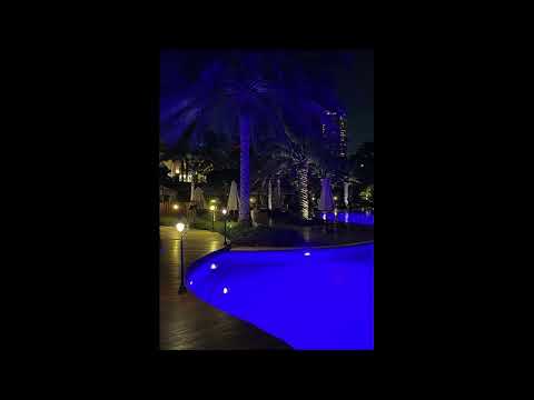 [Free] Playboi Carti x Adrian Type Beat - "Summer Night" (prod. night ii x adturnup)