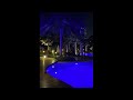 Free Playboi Carti X Adrian Type Beat Summer Night Prod Night Ii X Adturnup