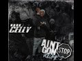 Big Celly Peep The Scenery Official Audio