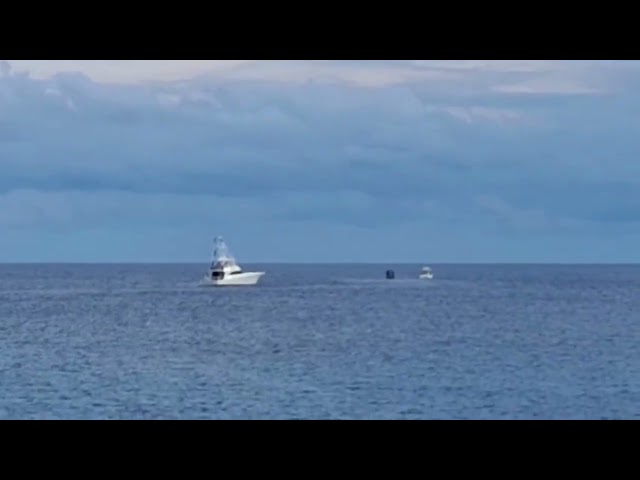WATCH: Nuh Reely aiming to defend Mayberry Superstars marlin tournament title