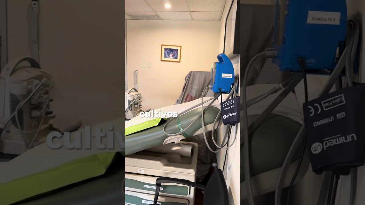 Pablo Andres Ortega Plancic-1