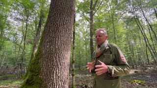 Calculating carbon credits | ECO9