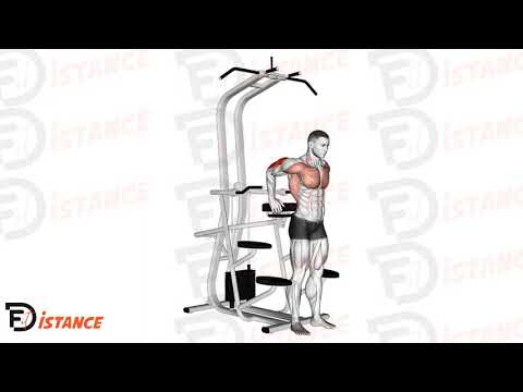 Exercice Dips triceps assistés debout