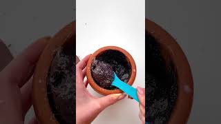 Download lagu Jangan makan cokelatmu seperti ini! 😵 #123go mp3