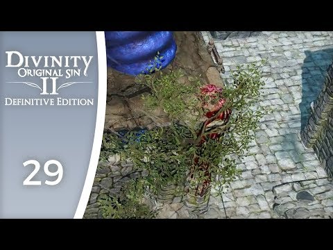 Looking fresh, Alexander! - Let's Play Divinity: Original Sin 2 - Definitive Edition #29
