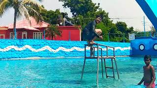 preview picture of video 'Fun and food nagpur village at wave pool Backflip in slow motion by samuela'