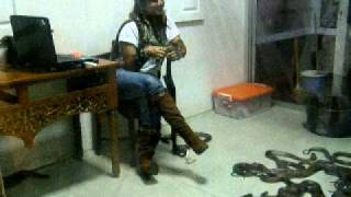 Beauty and the Hisss! Exhibition